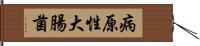 病原性大腸菌 Hand Scroll