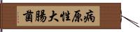 病原性大腸菌 Hand Scroll