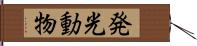 発光動物 Hand Scroll