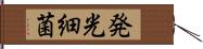 発光細菌 Hand Scroll