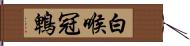 白喉冠鵯 Hand Scroll