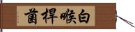 白喉桿菌 Hand Scroll