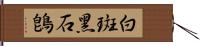 白斑黑石鵖 Hand Scroll