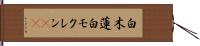 白木蓮 Hand Scroll