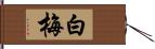 白梅 Hand Scroll