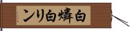 白燐 Hand Scroll