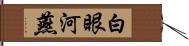 白眼河燕 Hand Scroll