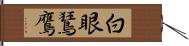 白眼鵟鷹 Hand Scroll