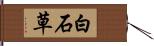 白石草 Hand Scroll