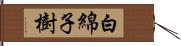 白綿子樹 Hand Scroll