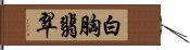 白胸翡翠 Hand Scroll