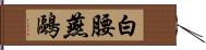 白腰燕鷗 Hand Scroll