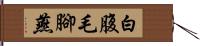 白腹毛腳燕 Hand Scroll