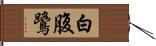 白腹鷺 Hand Scroll