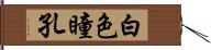 白色瞳孔 Hand Scroll