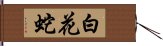 白花蛇 Hand Scroll