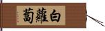 白蘿蔔 Hand Scroll