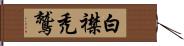 白襟禿鷲 Hand Scroll