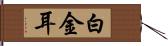 白金耳 Hand Scroll