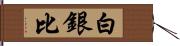 白銀比 Hand Scroll
