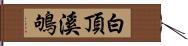 白頂溪鴝 Hand Scroll