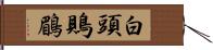 白頭鵙鶥 Hand Scroll