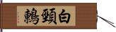 白頸鶇 Hand Scroll