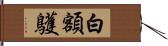 白額鸌 Hand Scroll