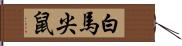 白馬尖鼠 Hand Scroll