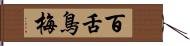 百舌鳥梅 Hand Scroll