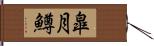 皐月鱒 Hand Scroll