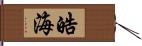 皓海 Hand Scroll