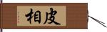 皮相 Hand Scroll