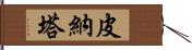 皮納塔 Hand Scroll