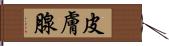 皮膚腺 Hand Scroll