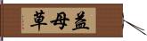 益母草 Hand Scroll