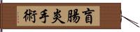 盲腸炎手術 Hand Scroll