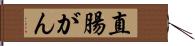 直腸がん Hand Scroll