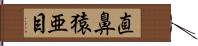 直鼻猿亜目 Hand Scroll