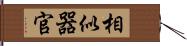 相似器官 Hand Scroll