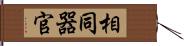 相同器官 Hand Scroll