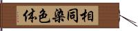 相同染色体 Hand Scroll