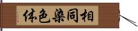 相同染色体 Hand Scroll