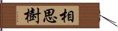 相思樹 Hand Scroll