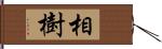 相樹 Hand Scroll