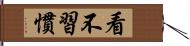 看不習慣 Hand Scroll