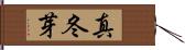 真冬芽 Hand Scroll