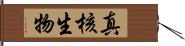 真核生物 Hand Scroll