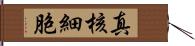 真核細胞 Hand Scroll