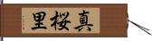 真桜里 Hand Scroll